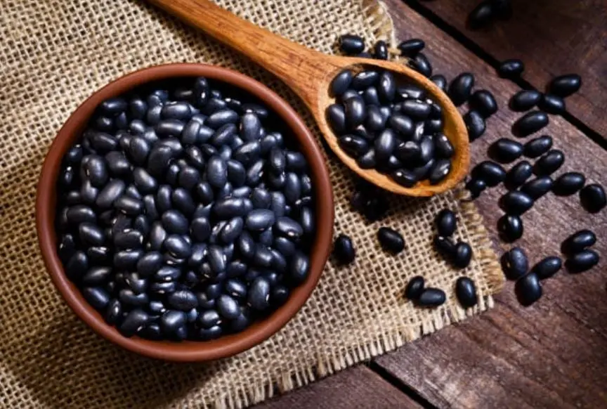 La vitamina B3 ayuda a combatir la inflamación, la B6 ayuda a reducir el riesgo de padecer cáncer y la vitamina B9 ayuda a que los neurotransmisores y la salud psicológica estén en equilibrio.