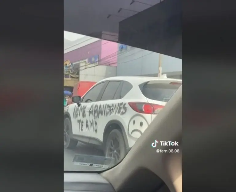 Le rayan su auto a un conductor (TikTok)