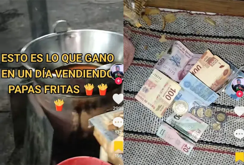 Joven muestra cu&aacute;nto gana al d&iacute;a vendiendo papas fritas y sorprende a las redes