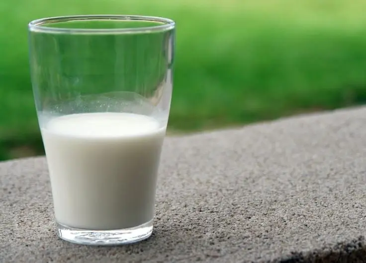 La leche y otros productos lácteos pueden causarles diarrea u otro tipo de problema digestivo debido a que las mascotas no poseen cantidades significativas de lactasa, que ayuda a descomponer la lactosa de esos alimentos.