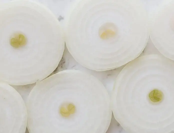 Si acostumbras darle caldo de pollo y le agregas cebolla, podrías envenenar a tu 'lomito' sin querer, pues este alimento puede causarle irritación intestinal.