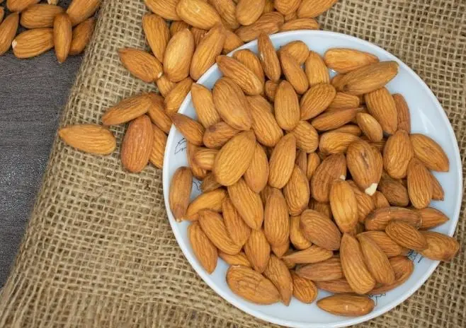 Algo similar ocurre con las almendras, que pueden generarle diarrea y vómito, además de causar daño en el páncreas.