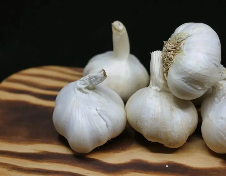 Este alimento tóxico para tu perro también puede provocar irritación gastrointestinal y dañar los glóbulos rojos.