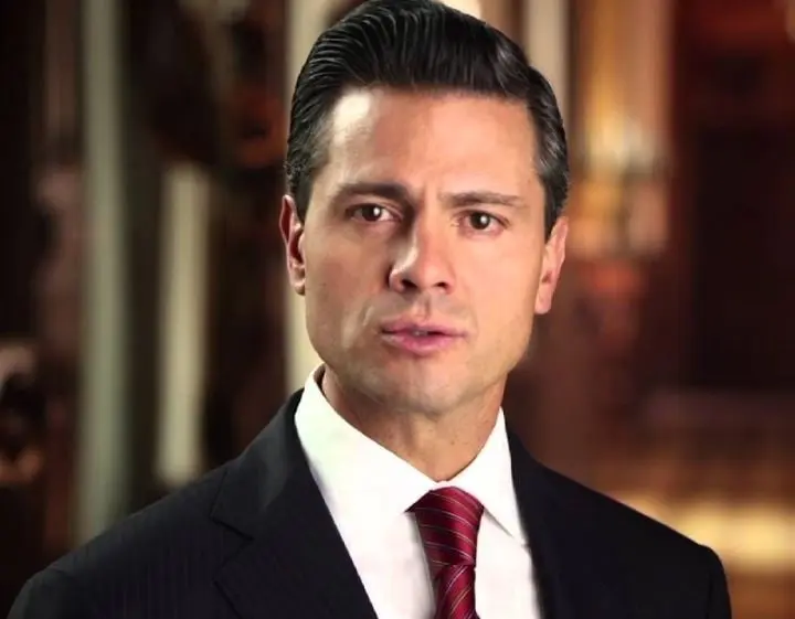 En 2016, una investigación periodística de Aristegui Noticias reveló que el entonces presidente Peña Nieto había plagiado casi el 30% de sus tesis final en la Universidad Panamericana con la que obtuvo el título de Licenciado en Derecho en 1991. El entonces portavoz de la Presidencia desestimó los hallazgos  y dijo que sólo eran 'irregularidades' y 'errores de estilo como citas sin entrecomillar o falta de referencia a autores que incluyó en la bibliografía'.