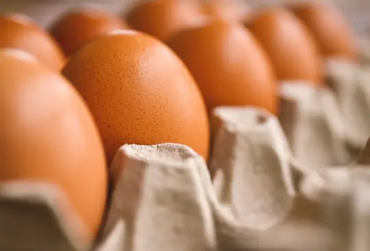 En algunos lugares de Estados Unidos el precio de una docena de huevos llegó a estar en hasta 8 dólares, lo que equivale a 150 pesos mexicanos. En algunos lugares de Estados Unidos el precio de una docena de huevos llegó a estar en hasta 8 dólares, lo que equivale a 150 pesos mexicanos.