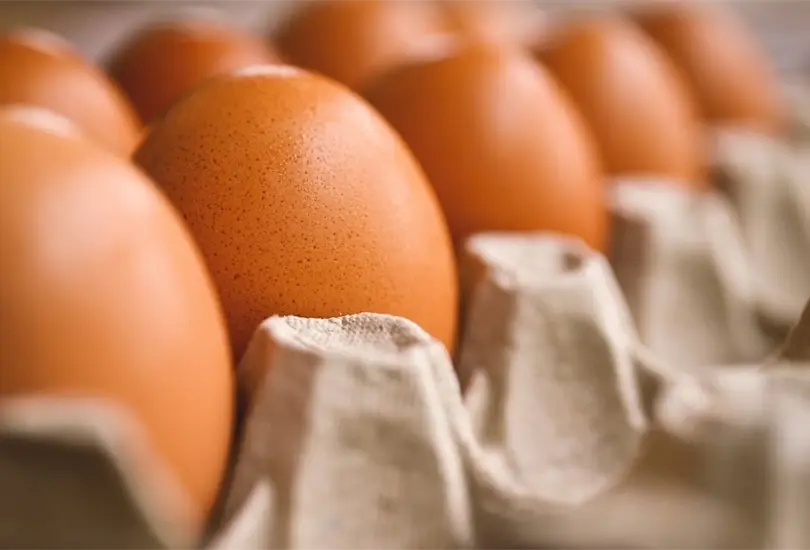 En algunos lugares de Estados Unidos el precio de una docena de huevos llegó a estar en hasta 8 dólares, lo que equivale a 150 pesos mexicanos. En algunos lugares de Estados Unidos el precio de una docena de huevos llegó a estar en hasta 8 dólares, lo que equivale a 150 pesos mexicanos.