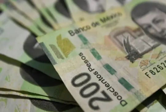 Conoce cómo detectar billetes falsos