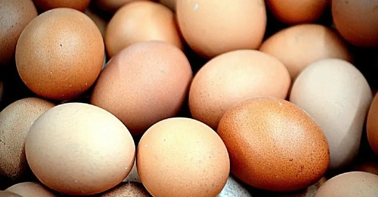 Factores como la gripe aviar y la inflación han causado un fenómeno de tráfico ilegal de huevos en la frontera México-EU. Imagen: PublicDomainPictures, Pixabay.