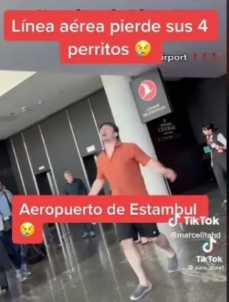 El hombre lloró al enterarse que la aerolínea perdió a sus perros. El hombre lloró al enterarse que la aerolínea perdió a sus perros.