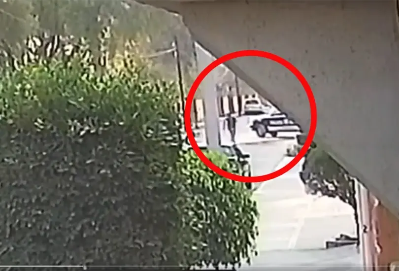 El ladrón se subió a una patrulla y ésta salió huyendo con él de la escena del crimen El ladrón se subió a una patrulla y ésta salió huyendo con él de la escena del crimen