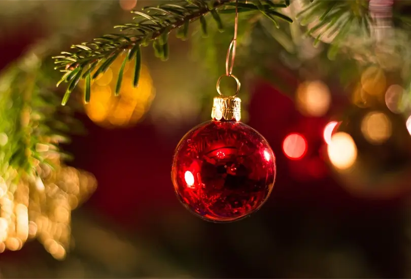 Devuelve &aacute;rbol de Navidad luego de las fiestas decembrinas