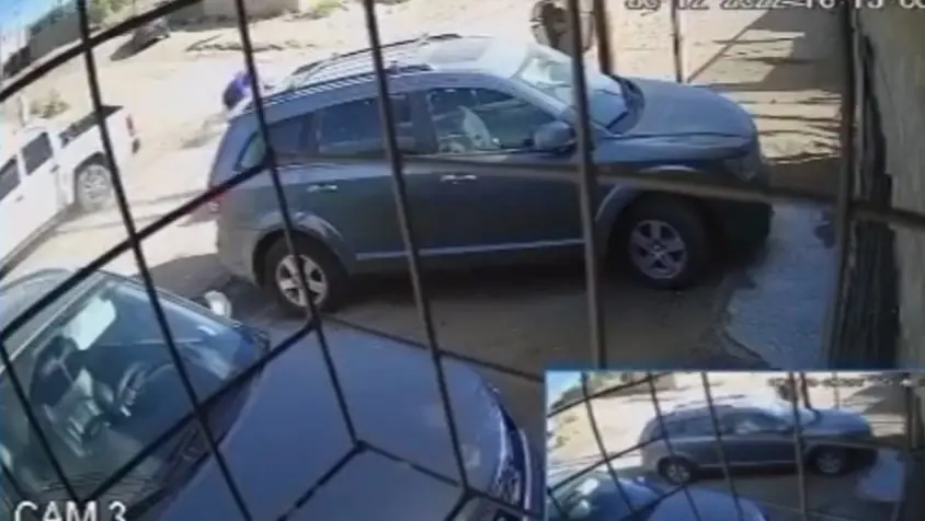El pitbull ya ten&iacute;a reportes de ataques previos