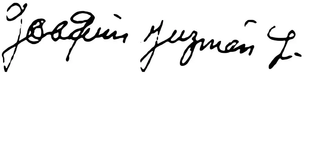 Alejandrina también es propietaria de las marcas “El Chapo”, “Joaquín El Chapo Guzmán”, “El Chapo Guzmán”, “El Chapo 701”.