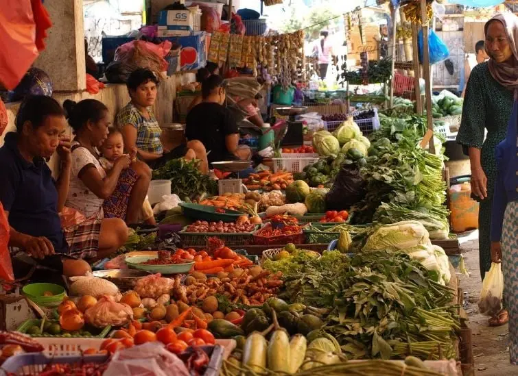 Idiomas que se hablan: 715 