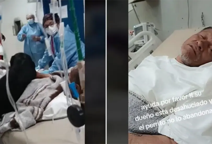 Perrito es abandonado en el hospital por su due&ntilde;o desahuciado. 