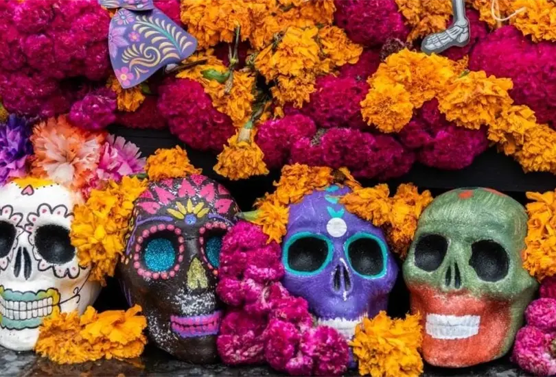 As&iacute; puedes diferenciar la flor de cempas&uacute;chil mexicana de la china. 