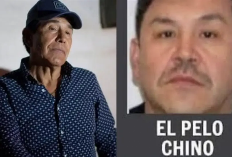 ¿Es verdad que liberaron al sobrino de Caro Quintero con soborno de 15 mdp? ¿Es verdad que liberaron al sobrino de Caro Quintero con soborno de 15 mdp?