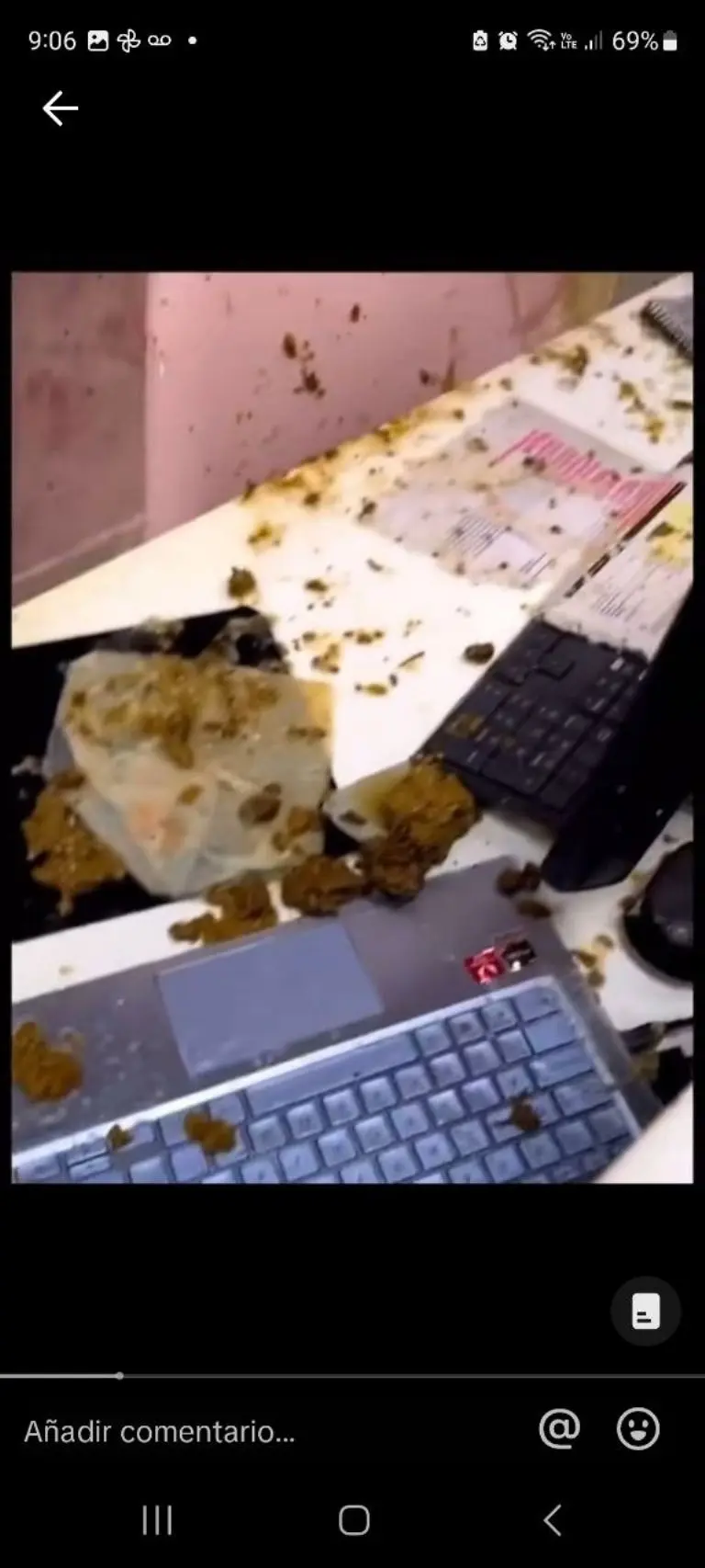 Local se llena de excremento - Tomada de video