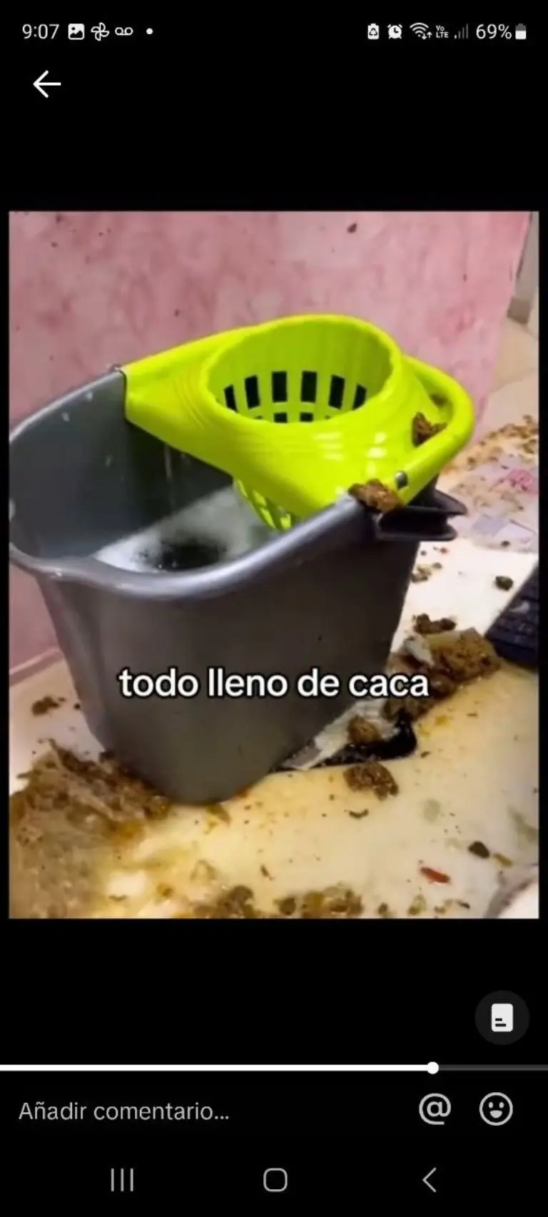 Local se llena de excremento - Tomada de video