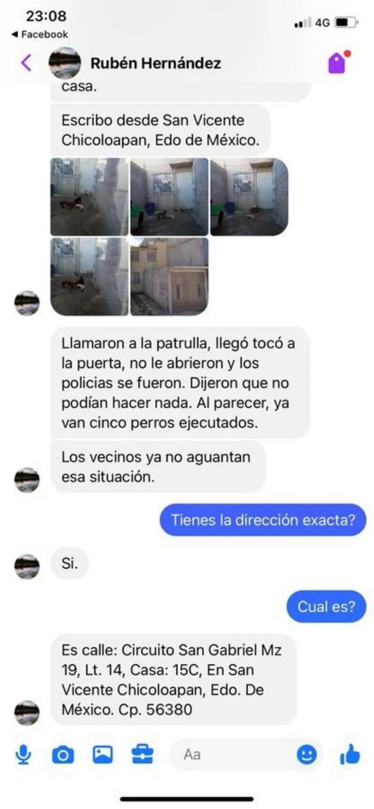 Vecino recoge perritos de la calle para alimentar a sus propios perros en Chicoloapan, Edomex. Foto: Especial