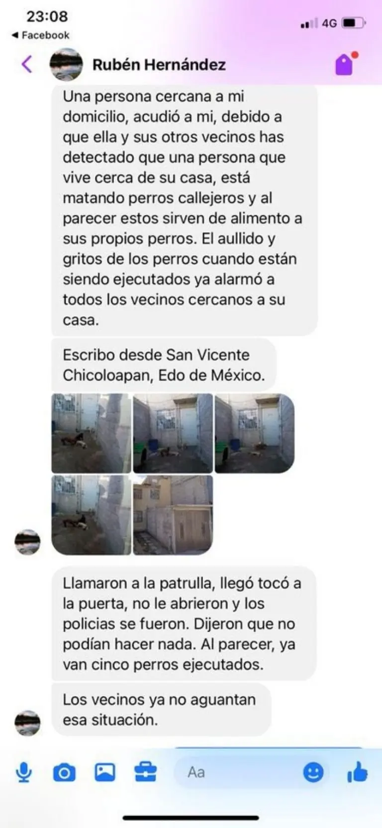 Vecino recoge perritos de la calle para alimentar a sus propios perros en Chicoloapan, Edomex. Foto: Especial
