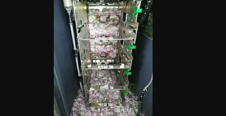 La rata murió al interior de cajero. Foto: especial.