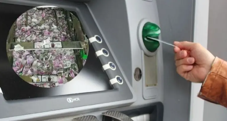 Rata entra a cajero automático y destroza el dinero. Foto: especial.