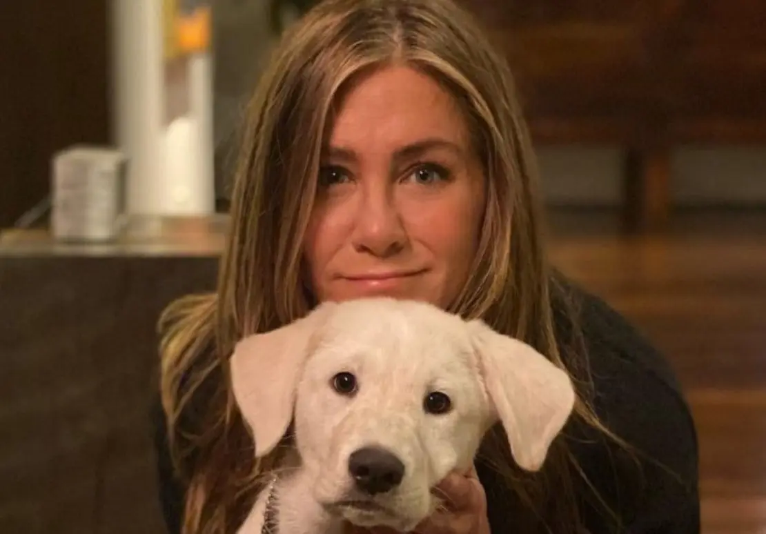 Ahora tiene 54 años, en 2017 se divorció de Justin Theroux, su segundo marido. En los últimos años ha trabajado en películas como Una esposa de mentira y Misterio a bordo.