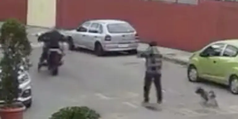 Policía en motocicleta atropella perrito mientras paseaba con su dueño en patineta. Foto: Twitter