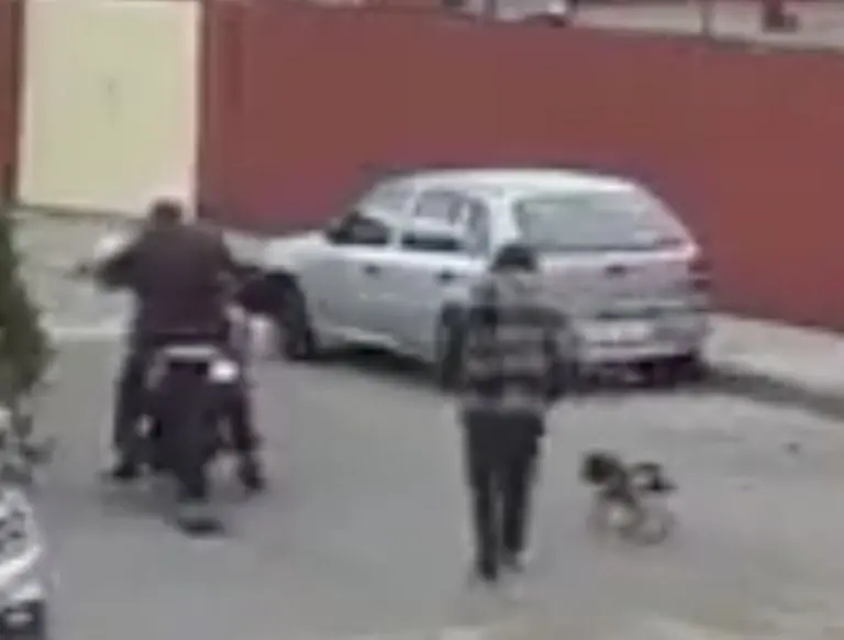 Policía en motocicleta atropella perrito mientras paseaba con su dueño en patineta. Foto: Twitter