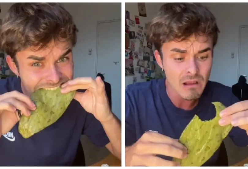 Espa&ntilde;ol prueba un nopal