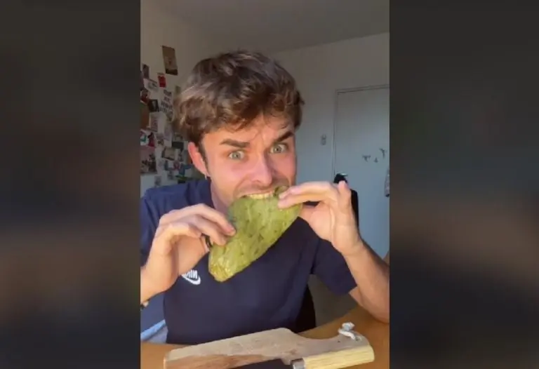 Español prueba nopales (TikTok)