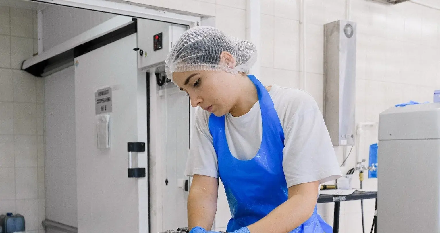 5. Industria de la alimentaci&oacute;n	
