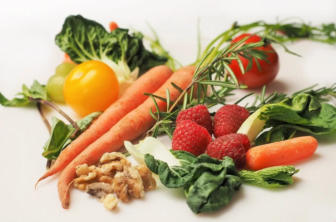 6. Nutrici&oacute;n	