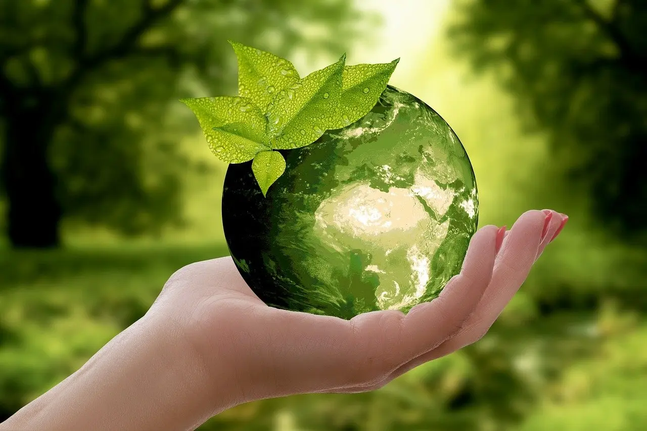 3. Ecolog&iacute;a y ciencias ambientales