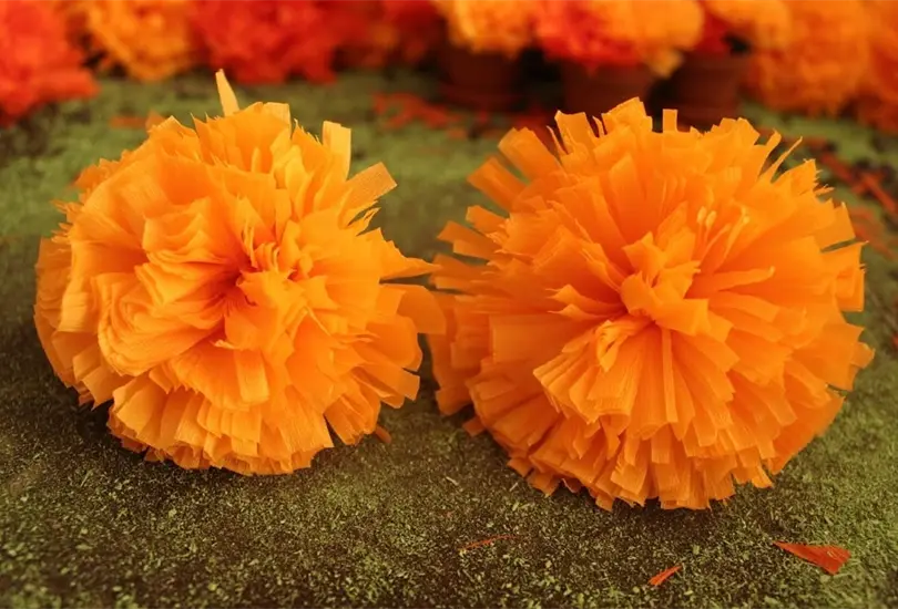 D&iacute;a de Muertos: &iquest;C&oacute;mo hacer flores de Cempas&uacute;chil con papel china o crep&eacute;? 