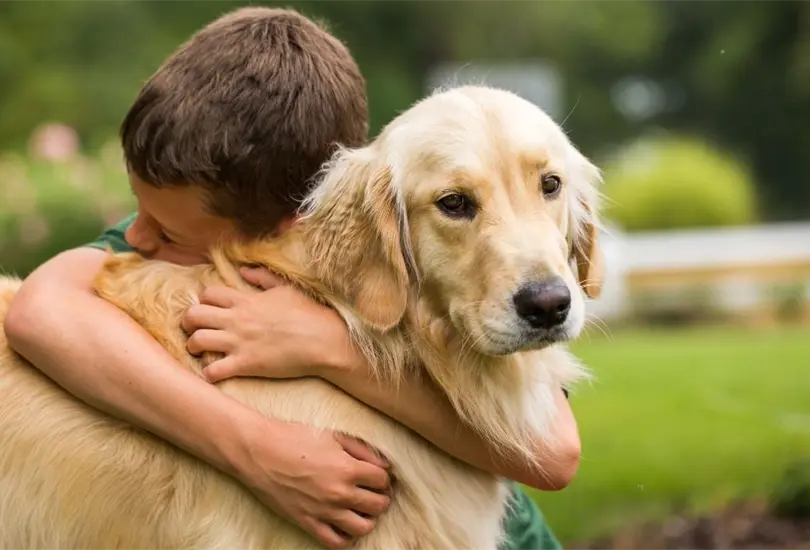 D&iacute;a de los Animales: &iquest;D&oacute;nde cremar a tu mascota y darle el &uacute;ltimo abrazo? 