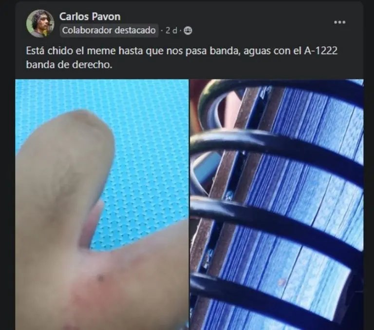 Supuestas chinches en FES Acatlán - Facebook