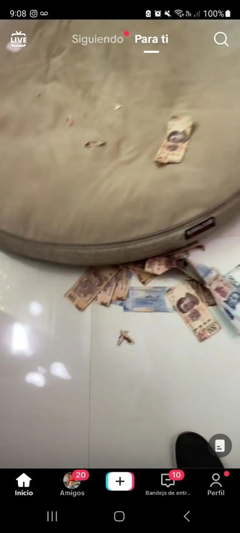 Perrito destroza el dinero de su dueña - Tomada de video