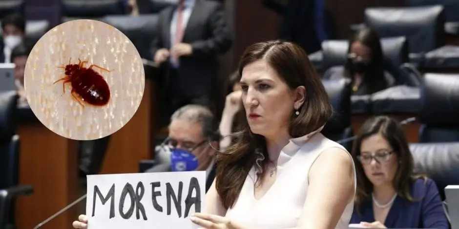 Kenia L&oacute;pez Rabad&aacute;n compara al partido Morena con una chinche. 
