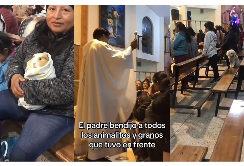 Es el evento especial para las mascotas dentro de la religión católica. Es el evento especial para las mascotas dentro de la religión católica.