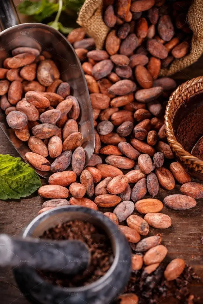 ¡Alerta Golosa! Razones del por qué las galletas de chocolate subirán su precio en 2024 Créditos: FB