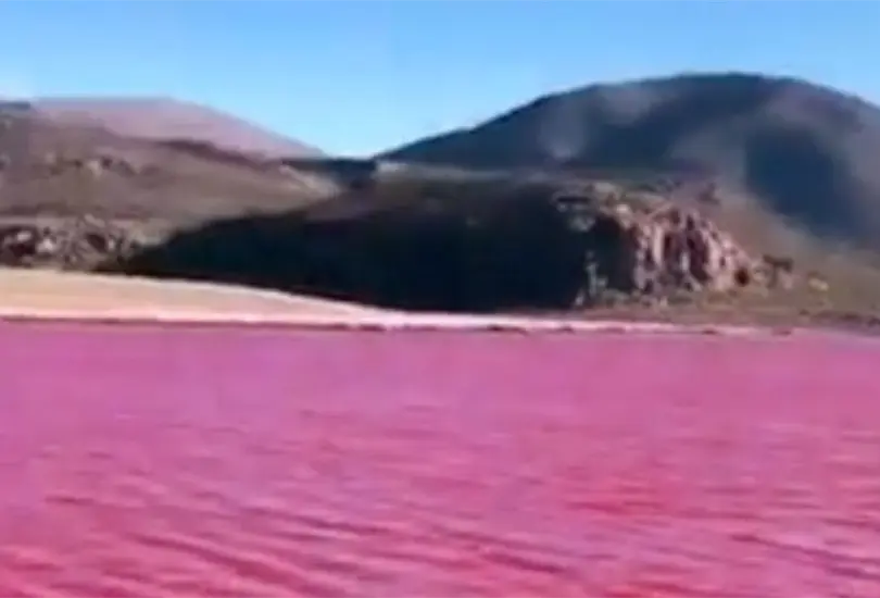 R&iacute;o Nilo se ti&ntilde;e de rojo y causa temor. 