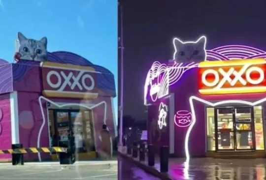 El Michi-Oxxo se encuentra en Querétaro. El Michi-Oxxo se encuentra en Querétaro.