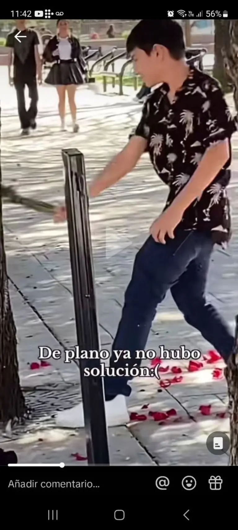 Joven destroza ramo de flores - Tomada de video