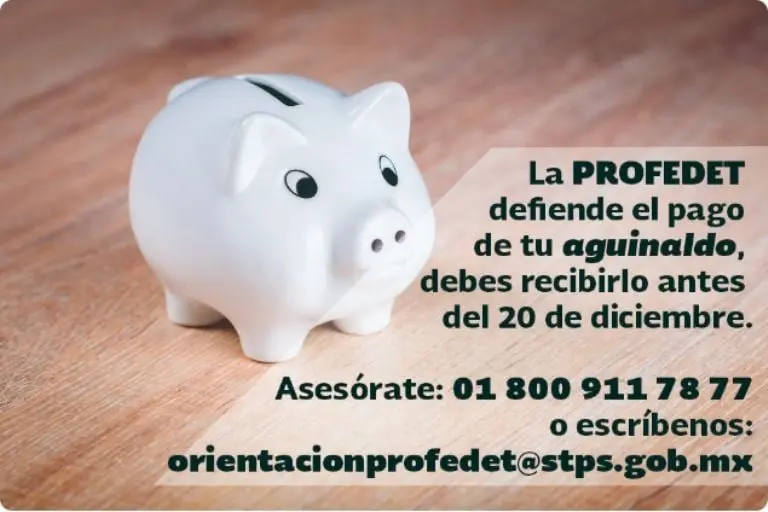 Aguinaldo 2023: ¿Qué puedo hacer si no me pagan lo que me corresponde? Créditos: Profedet
