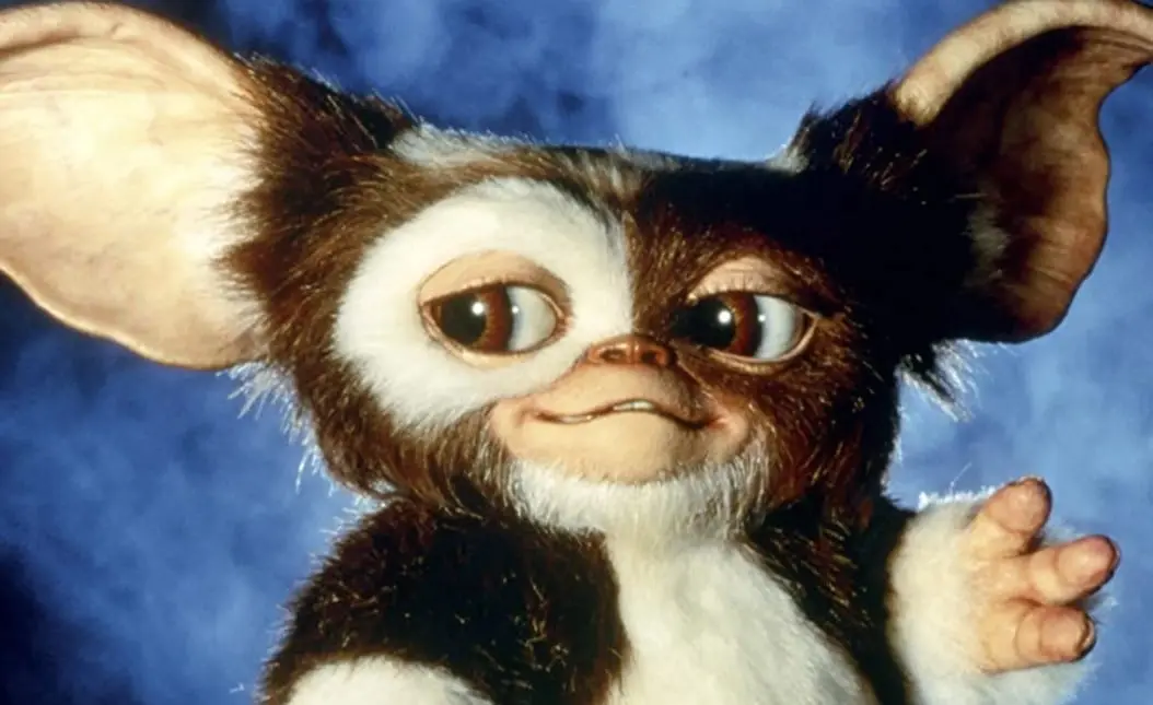 Antes de darle el regalo, su pap&aacute; le dice a Billy que debe seguir tres reglas: no darle agua, no darle de comer despu&eacute;s de medianoche y mantenerlo alejado de la luz del sol.