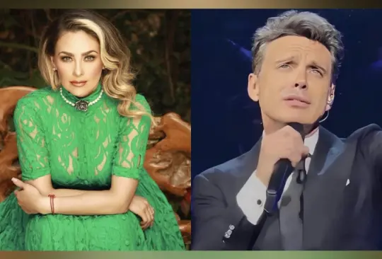 Aracely Arámbula rompe el silencio: en esto usará los millones que obligó a pagar a Luis Miguel