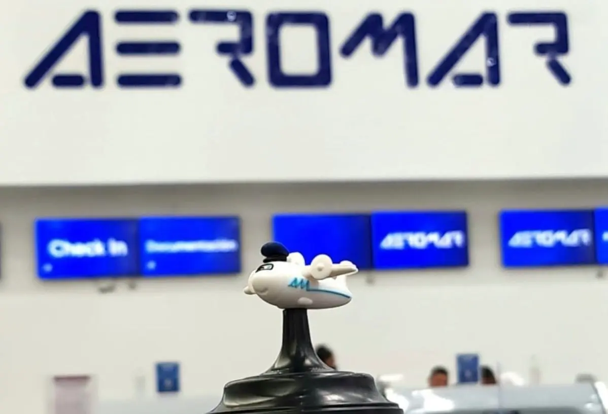 Despu&eacute;s de 35 a&ntilde;os de operaciones, la aerol&iacute;nea mexicana se declar&oacute; en quiebra el pasado 15 de febrero por una deuda de m&aacute;s de 4 mil millones de pesos.