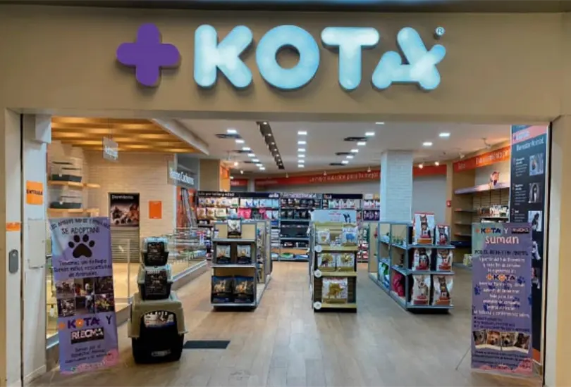 El 2023 fue un a&ntilde;o econ&oacute;micamente complicado a nivel mundial y varias empresas que hab&iacute;an logrado sobrevivir a la crisis por la pandemia de COVID-19, se declararon en quiebra.